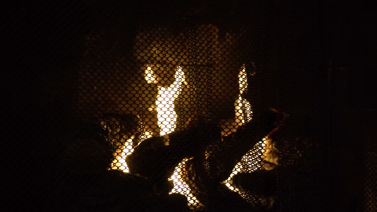 Orange flames flicker through a fireplace screen in a home hearth