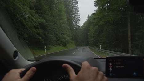 driving through a lush forest on a rainy day