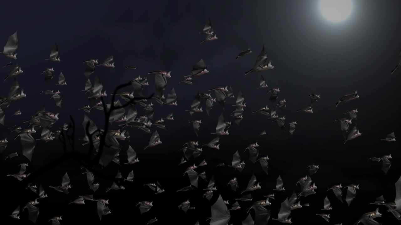 할로윈: 녹색 배경 공포에 검은 날아다니는 박 루프 애니메이션