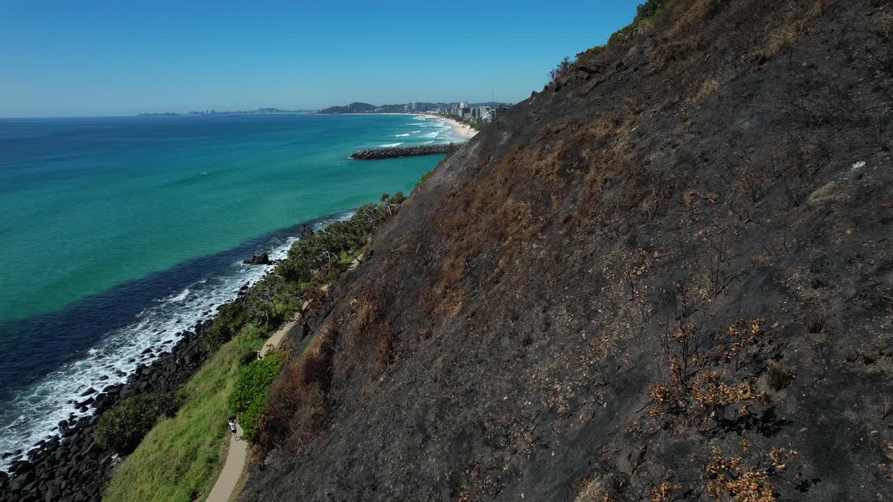 Forest Burned At The Mountain Of Burleigh Heads On The Gold Coast, Queensland, Australia. Aerial Close-up Shot