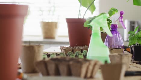 close up of garden equipment with sprinklers with water and plants on table in kitchen