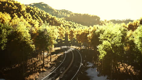 curvy asphalt road through forest in autumn