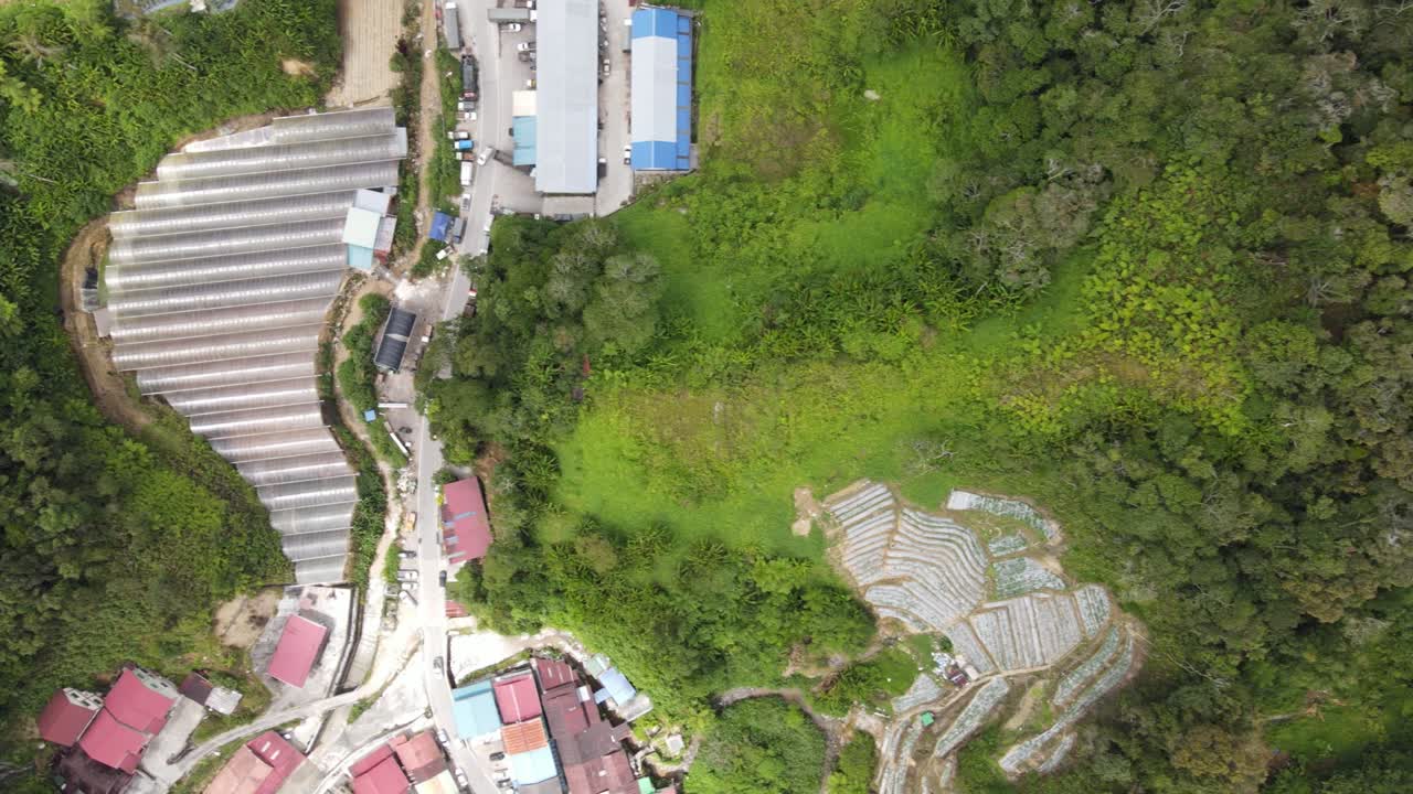 말레이시아의 카메론 하이랜드 지역 내의 브린창 지역의 일반 풍경