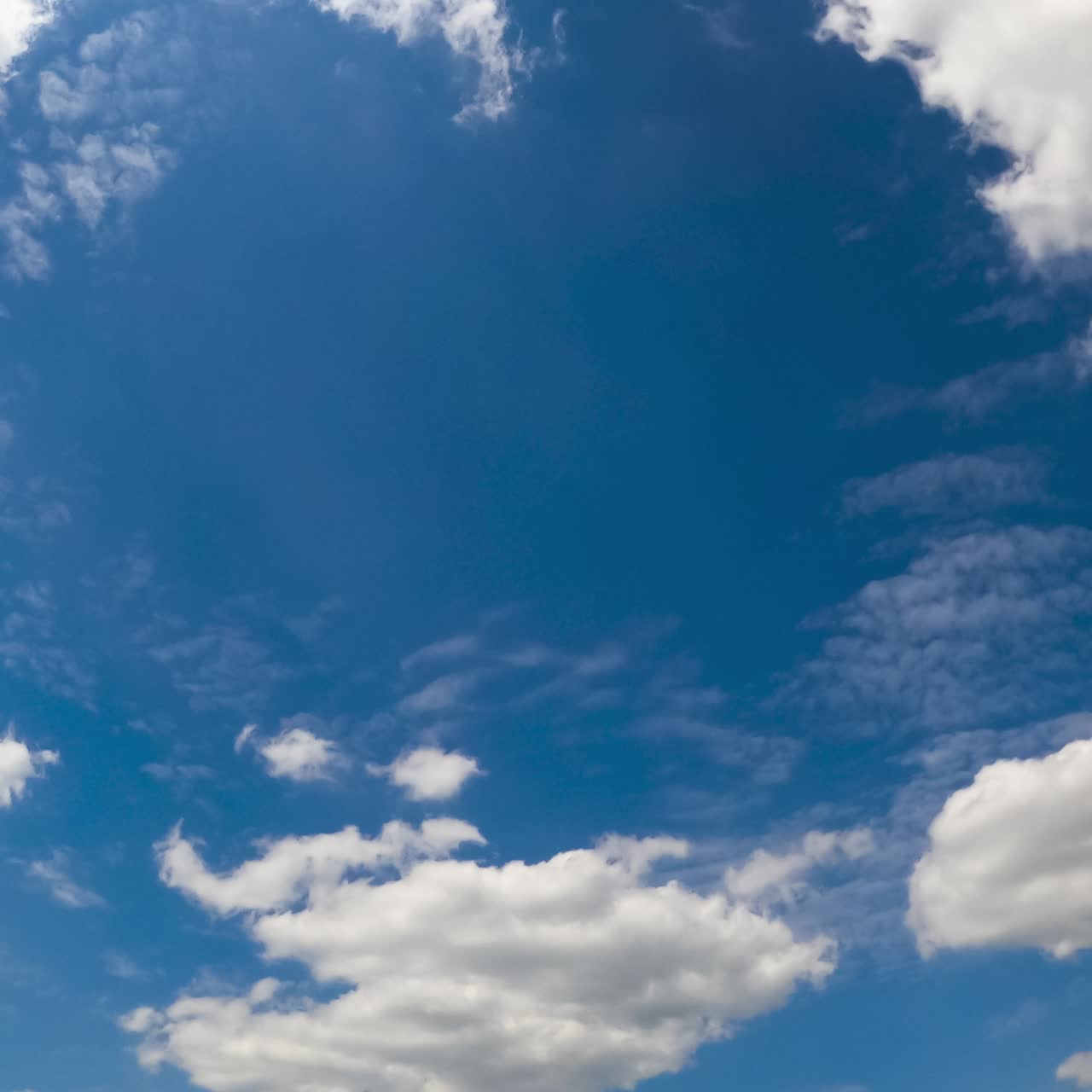 Diverse types of cloudscape in the atmosphere. Cumulus and stratus white clouds in the blue sky. Low angle view. Timelapse