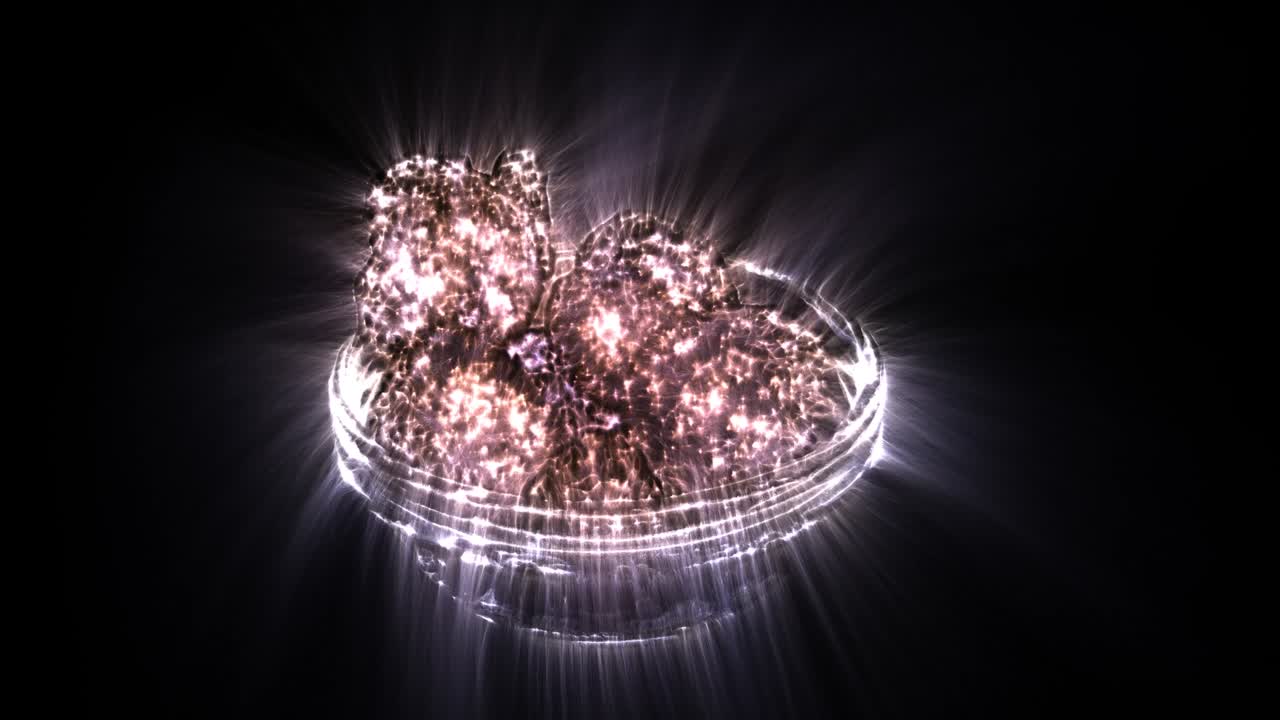 작은 그에서 회전하는 많은 캔디 된 마카다미아 견과류의 루프 가능한 키를리안 오라