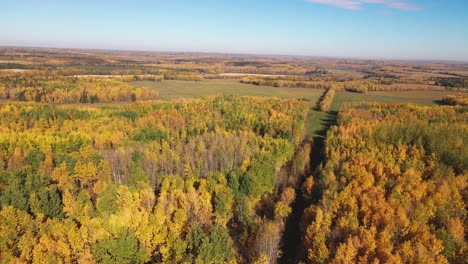 Gorgeous-aerial-cinematic-scene-of-highly-colored-trees-i-in-the-midst-of-the-Fall-in-Alberta-Canada-on-a-clear-and-sunny-day