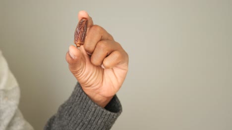 hand holding a date fruit