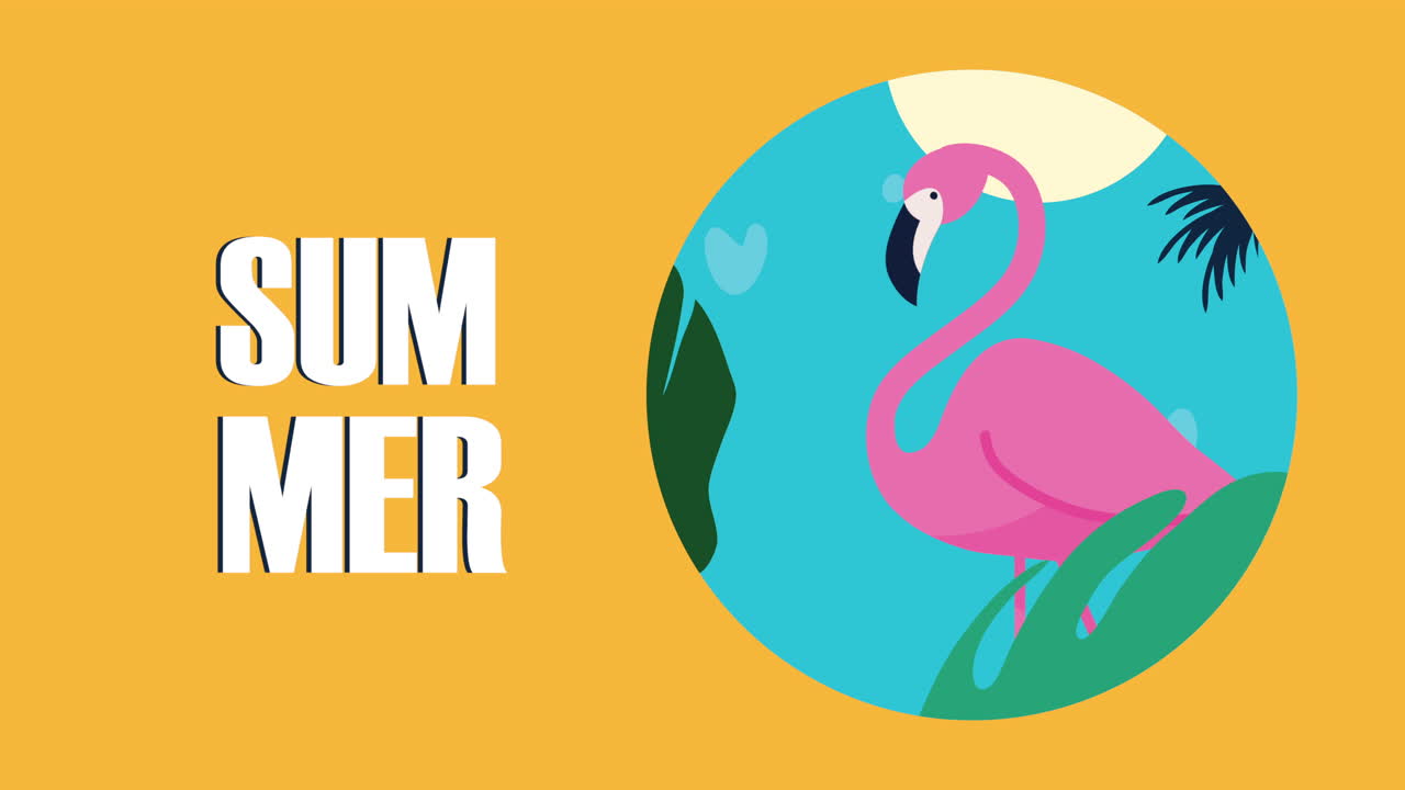 ilustración del flamenco de verano