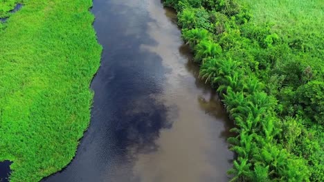 miranda river meets toro river in the pantanal