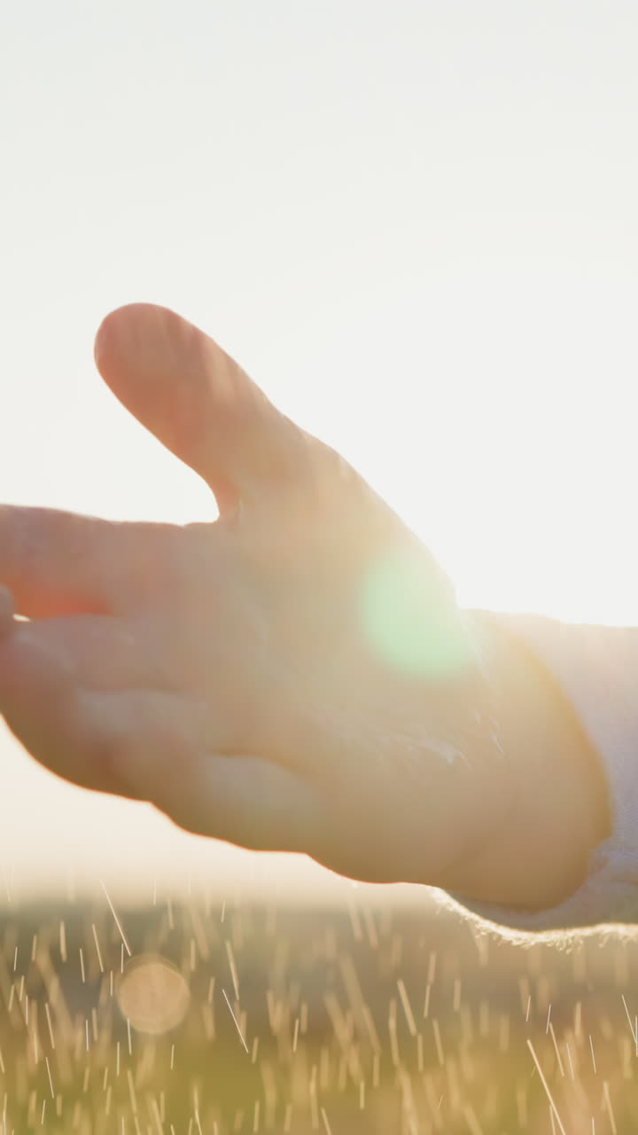 빛의 클로즈업으로 비가 오는 동안 손바닥을 는 아이는 순수한 행복의 순간적인 순간과 함께 자연 세계와의 연결을 느니다.