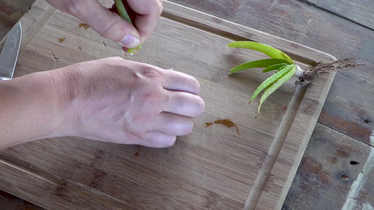 잎에서 피부로 신선한 알로에 베라 젤을 짜내고, 천연 스킨케어 개념