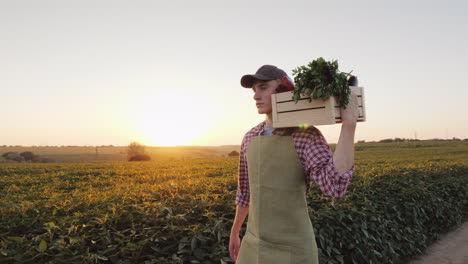 un joven agricultor camina por el campo con una caja de verduras frescas video 4k