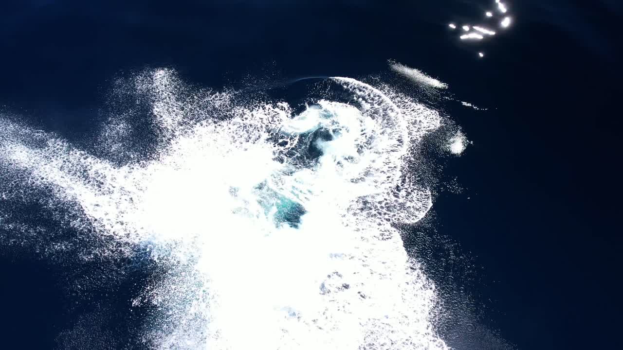 An amazing and rare view of a Humpback Whale accelerating to the surface to perform a perfect 360 breach in glass like ocean conditions near Dana Point, California in 4k