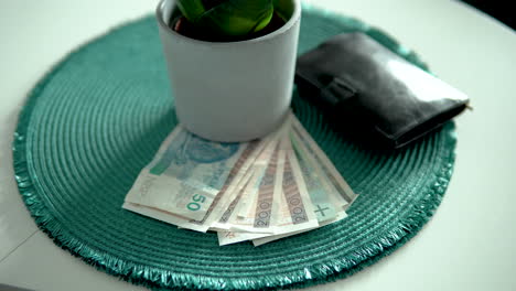 polish banknotes in various denominations under a small plant pot on the table - tilt-up shot