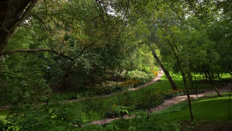 camino del parque con flores amarillas