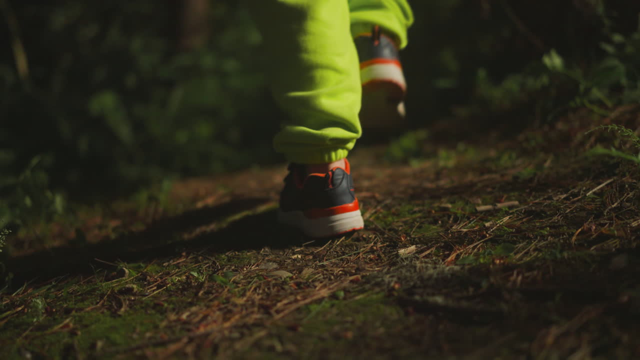 Little child in light green sweatpants and sports shoes walks alone in evening forest. Kid wanders along illuminated forest path in search of family campsite