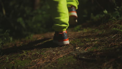 little child in light green sweatpants and sports shoes walks alone in evening forest. kid wanders along illuminated forest path in search of family campsite