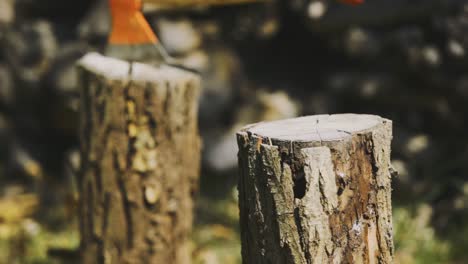 Afternoon panning footage from a wood cutting scene at home