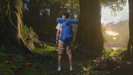 vista trasera del cuerpo completo de un excursionista masculino con mochila de montañismo mirando a su alrededor mientras explora la naturaleza del bosque