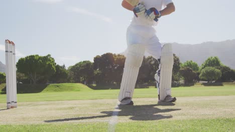 cricket player stopping the ball in a pitch