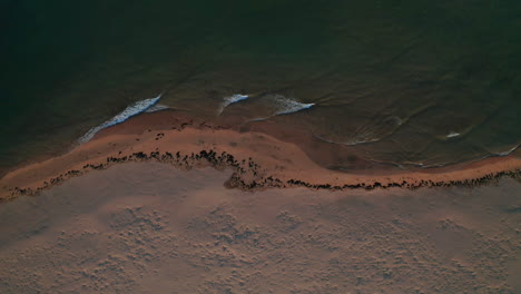 Ruhige-Wellen-Am-Strand-Von-Raudisandur-In-Westisland---Top-Down-Drohne