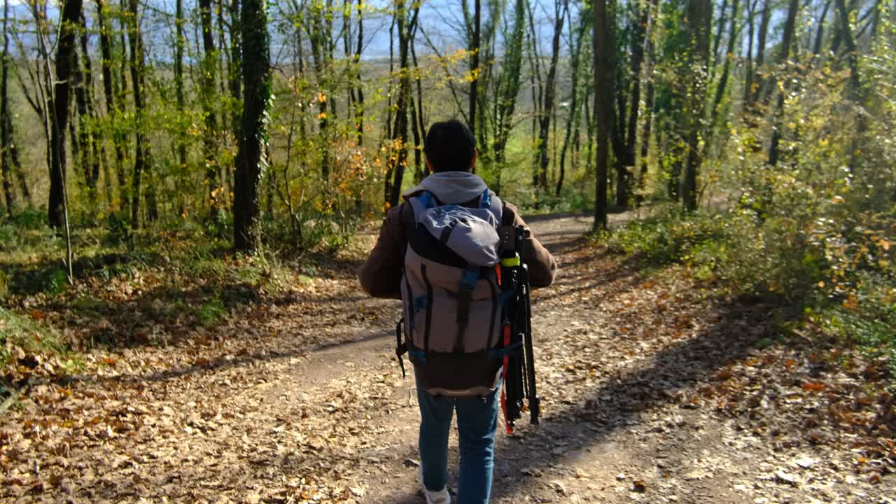 joven campista caminando por el bosque
