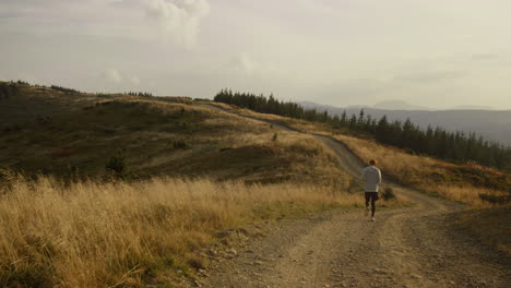 Young-man-exercising-in-natural-landscape.-Athletic-guy-jogging-on-dirty-road