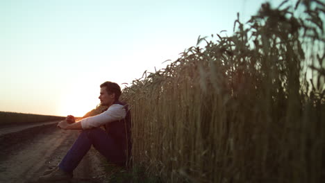 agrónomo observando el cultivo del campo de trigo en la puesta de sol dorada solo retrato.