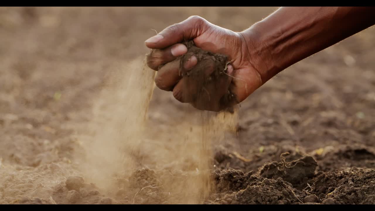 Hand examining soil