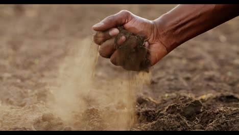 hand examining soil