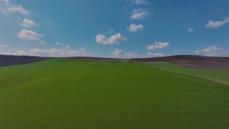 Tiro-Aéreo-Con-Plataforma-Rodante-Campos-Agrícolas-Verdes-Vibrantes-Cielo-Azul-En-El-Horizonte,-En-El-Campo-En-Un-Día-Soleado-De-Primavera