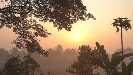 morning lights are coming by piercing the fog