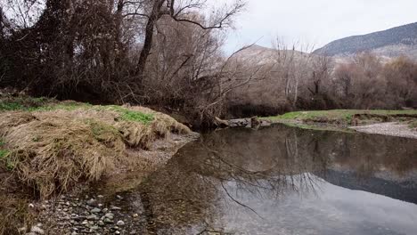 Landschaftsreflexion-Im-Fluss