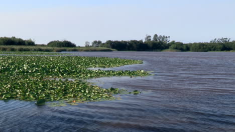 Estanque-Con-Las-Aguas-Moviéndose-Con-El-Viento