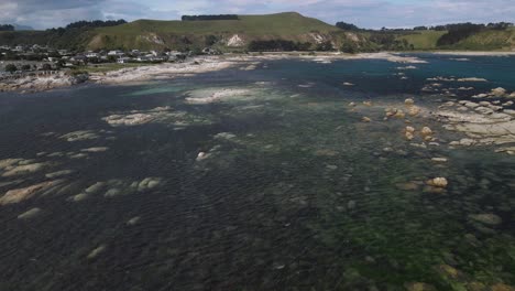 Flug-über-Eines-Der-Küstenriffe-Von-Kaikoura,-Das-Mit-Wunderschönem-Grünen-Seetang-Gefüllt-Ist