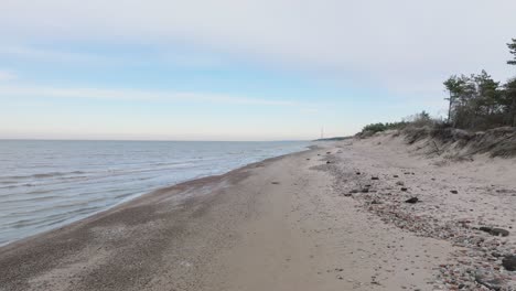 beautiful aerial establishing view of baltic sea coast, overcast winter day, calm beach with white sand, pine tree forest, coastal erosion, climate changes, low wide drone shot moving forward