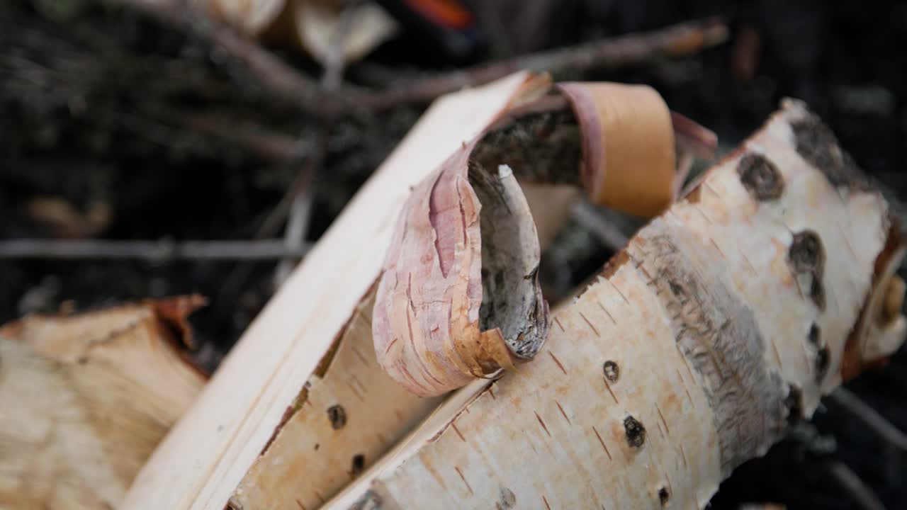 Close-up of white birch wood by fireplace