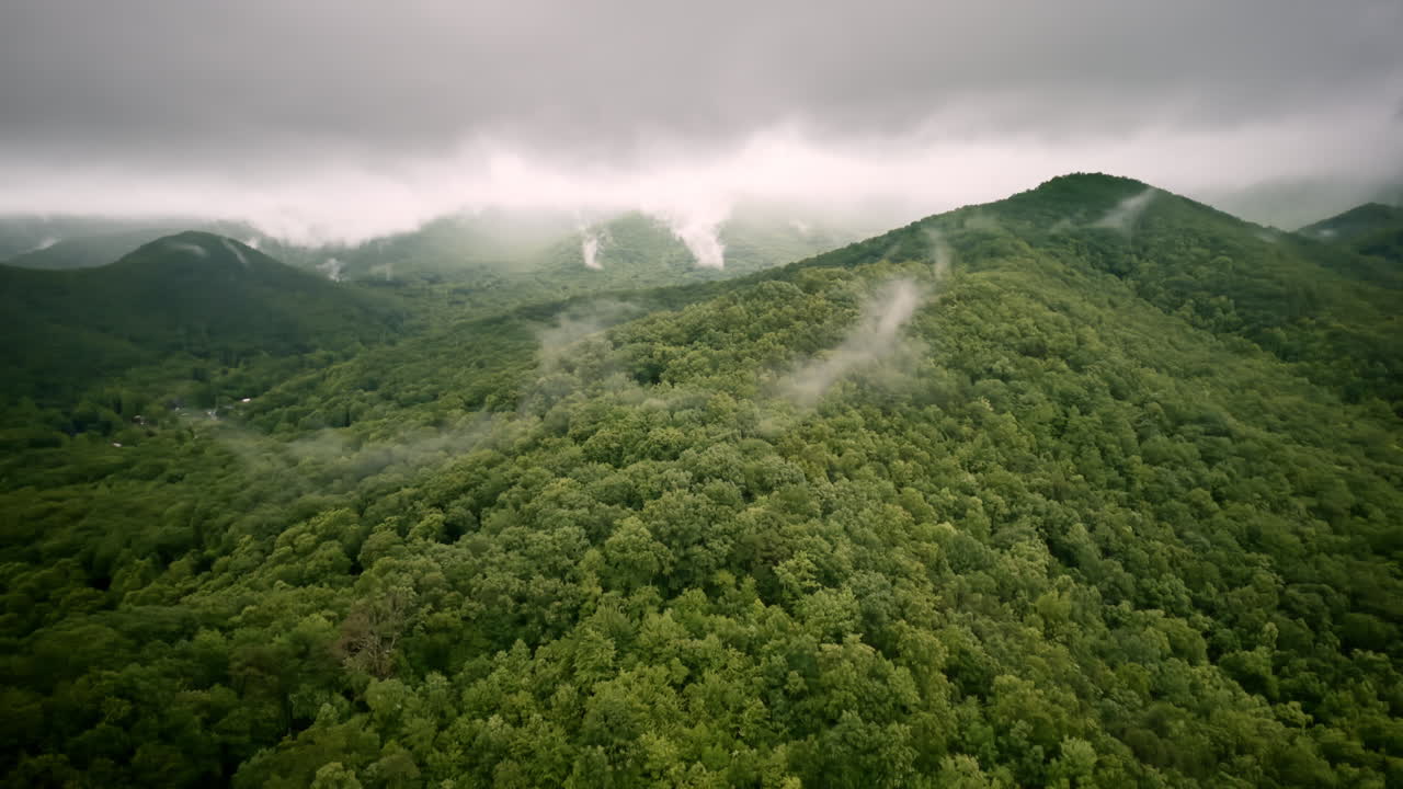 Cinematic drone angle sweeping past a peaceful, mist-filled mountain valley