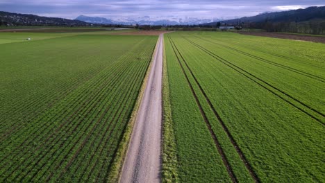 Volando-Sobre-Tierras-De-Cultivo-Con-Campos-Verdes-Y-Alpes-Suizos-En-El-Fondo