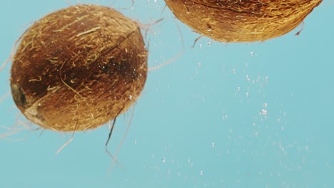 Coconuts Splashing Underwater