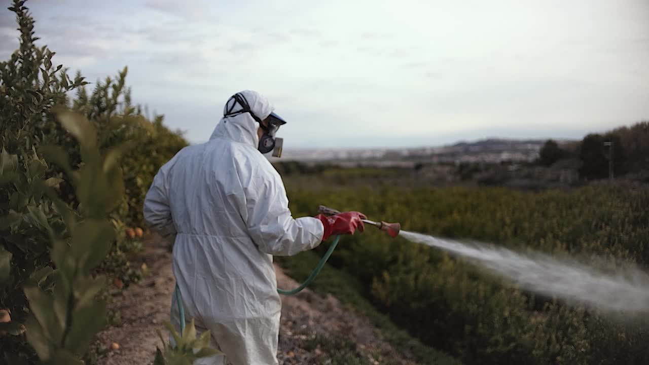 granjero rocíe insecticida, pesticida, pesticidas o insecticidas rociando en limoneros campo agrícola en españa