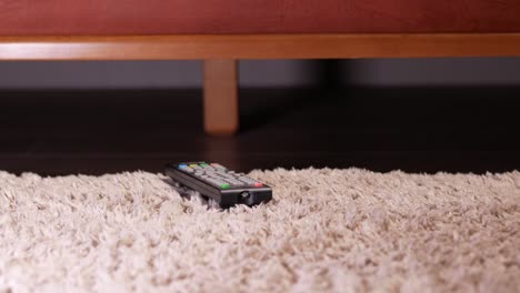 remote control on carpet under sofa