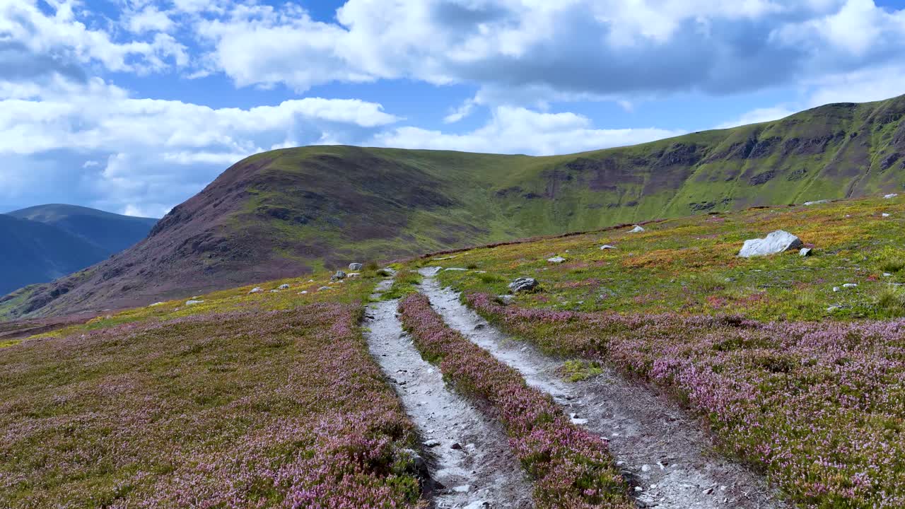Camera moves forward along scenic heather trail, revealing rolling hills, wildflowers, and dramatic sky
