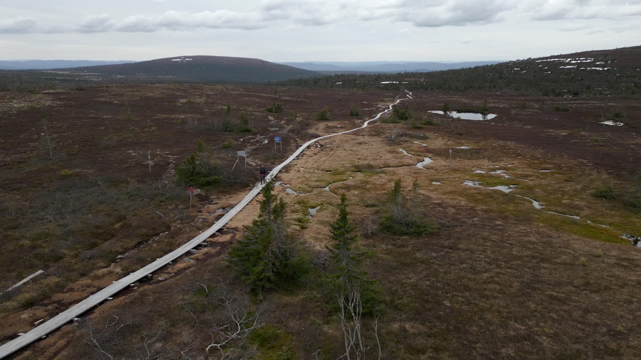 una mujer y su perro caminando por un sendero de tablones de montaña con nieve detrás de ellos
