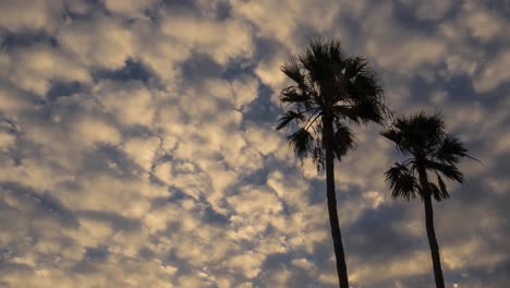 A-timelapse-behind-apalm-trees-on-a-tropical-beach-on-the-island-of-Molokai-hawaii