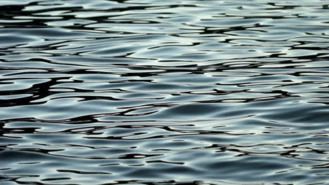 a calm water surface with gentle ripples