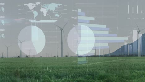 animation of statistical data processing over spinning windmills on grassland against grey sky