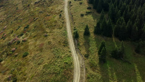 Aerial-rocky-woods-road-view-among-green-spruce-trees-growing-grassy-hills