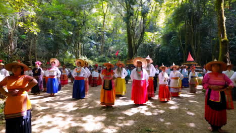 traditional cultural performance in a forest setting