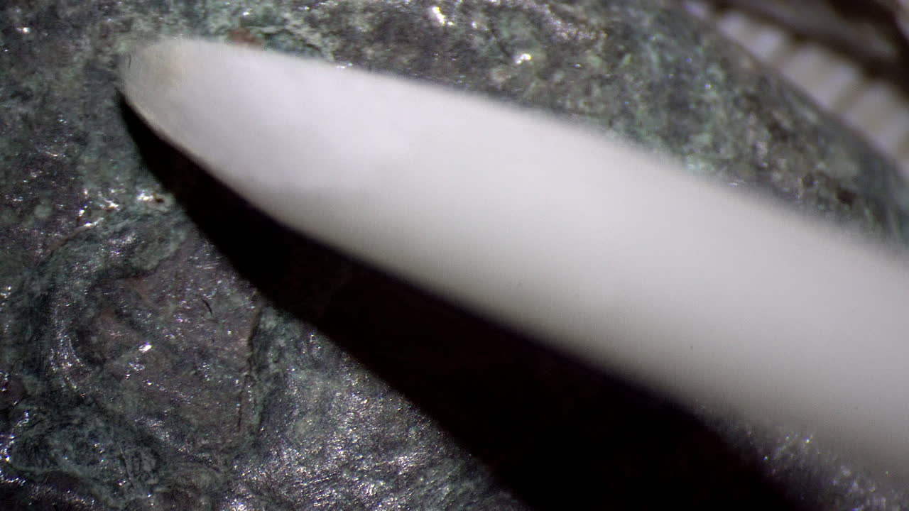 Conservation tool cleans bronze disease from ancient Greek coin of Syracuse